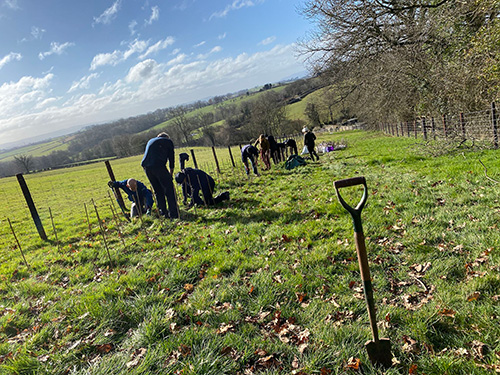 TIN Team working hard planting trees