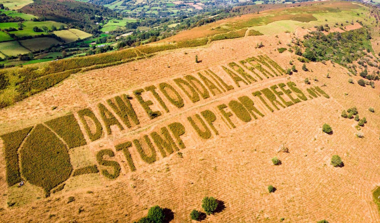 areial photograph of the words daw eto ddail ar fryn & stump up for trees mown into bracken on a hill side